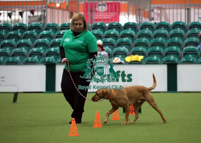 Framed Print : Crufts 2019 - Day One, NEC, UK - 7 Mar 2019 Framed Print : Crufts 2019 - Day One, NEC, UK - 7 Mar 2019