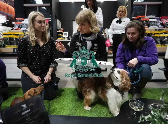 Framed Print : Crufts 2019 - Day One, NEC, UK - 7 Mar 2019
