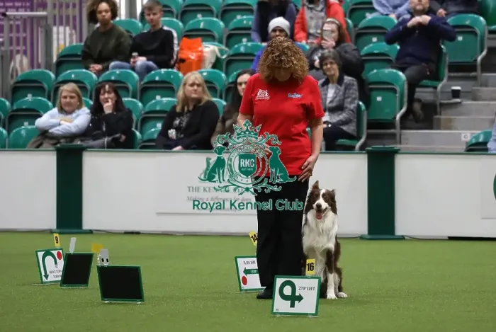 Framed Print : Crufts 2019 - Day One, NEC, UK - 7 Mar 2019 Framed Print : Crufts 2019 - Day One, NEC, UK - 7 Mar 2019
