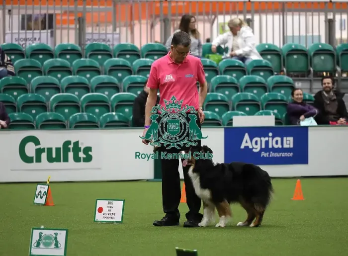 Framed Print : Crufts 2019 - Day One, NEC, UK - 7 Mar 2019 Framed Print : Crufts 2019 - Day One, NEC, UK - 7 Mar 2019