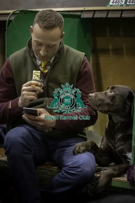 Framed Print : Crufts 2019 - Day One, NEC, UK - 7 Mar 2019