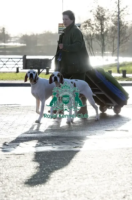 Framed Print : Crufts 2019 - Day One, NEC, UK - 7 Mar 2019