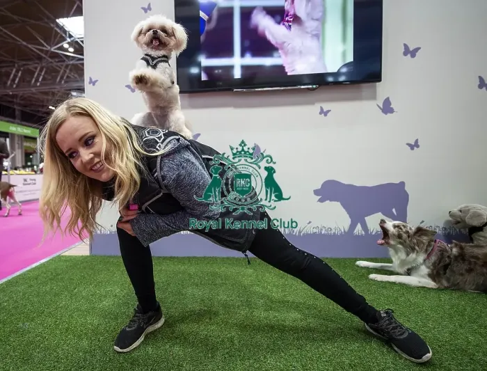 Framed Print : Crufts 2019 - Day One, NEC, UK - 7 Mar 2019 Framed Print : Crufts 2019 - Day One, NEC, UK - 7 Mar 2019