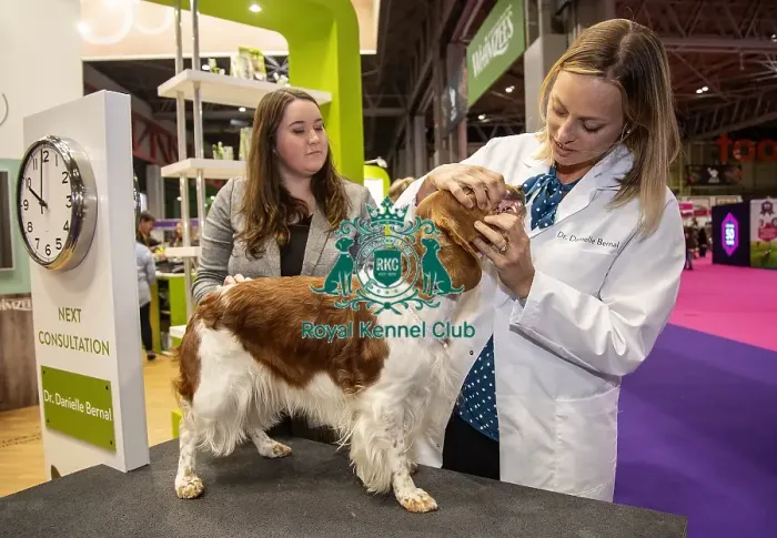 Framed Print : Crufts 2019 - Day One, NEC, UK - 7 Mar 2019 Framed Print : Crufts 2019 - Day One, NEC, UK - 7 Mar 2019