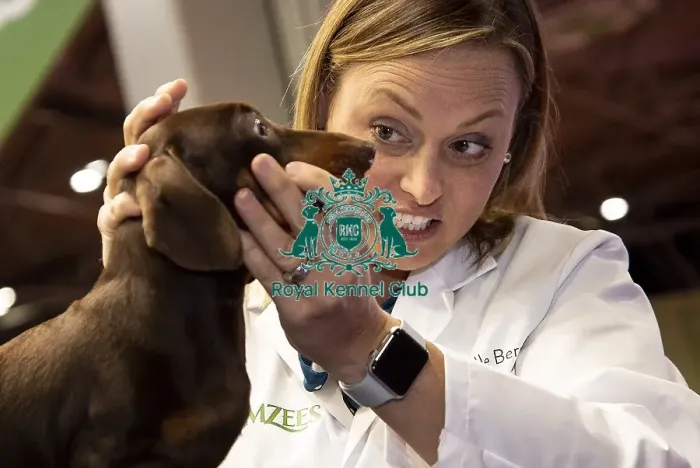 Framed Print : Crufts 2019 - Day One, NEC, UK - 7 Mar 2019 Framed Print : Crufts 2019 - Day One, NEC, UK - 7 Mar 2019