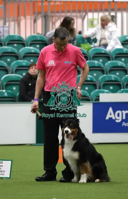 Framed Print : Crufts 2019 - Day One, NEC, UK - 7 Mar 2019 Framed Print : Crufts 2019 - Day One, NEC, UK - 7 Mar 2019