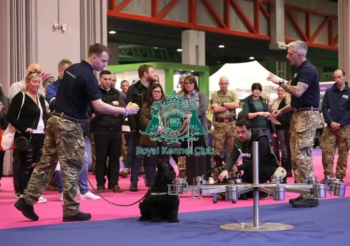 Framed Print : Crufts 2019 - Day One, NEC, UK - 7 Mar 2019 Framed Print : Crufts 2019 - Day One, NEC, UK - 7 Mar 2019