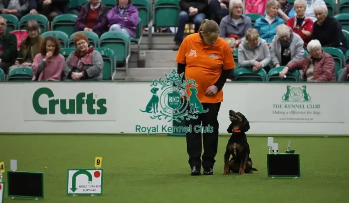 Framed Print : Crufts 2019 - Day One, NEC, UK - 7 Mar 2019 Framed Print : Crufts 2019 - Day One, NEC, UK - 7 Mar 2019