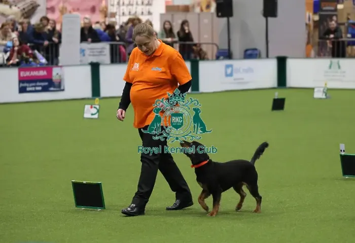 Framed Print : Crufts 2019 - Day One, NEC, UK - 7 Mar 2019 Framed Print : Crufts 2019 - Day One, NEC, UK - 7 Mar 2019