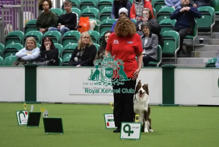 Framed Print : Crufts 2019 - Day One, NEC, UK - 7 Mar 2019 Framed Print : Crufts 2019 - Day One, NEC, UK - 7 Mar 2019