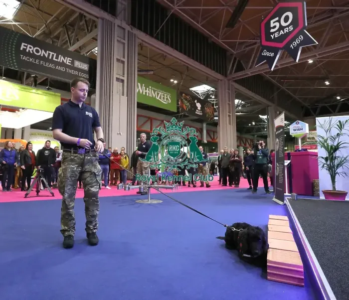 Framed Print : Crufts 2019 - Day One, NEC, UK - 7 Mar 2019 Framed Print : Crufts 2019 - Day One, NEC, UK - 7 Mar 2019