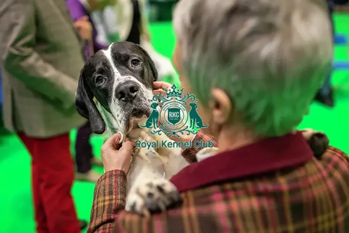 Framed Print : Crufts 2019 - Day One, NEC, UK - 7 Mar 2019 Framed Print : Crufts 2019 - Day One, NEC, UK - 7 Mar 2019