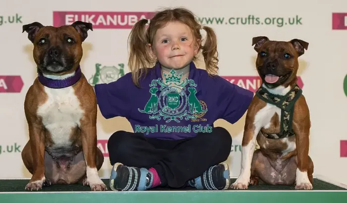 Framed Print : Crufts 2019 - Day One, NEC, UK - 7 Mar 2019 Framed Print : Crufts 2019 - Day One, NEC, UK - 7 Mar 2019