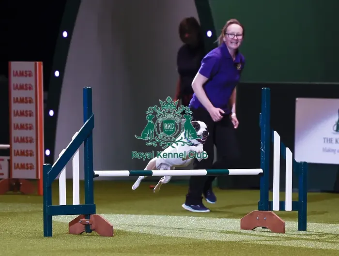 Framed Print : Crufts 2019 - Day One, NEC, UK - 7 Mar 2019 Framed Print : Crufts 2019 - Day One, NEC, UK - 7 Mar 2019