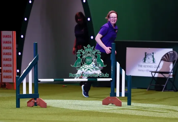 Framed Print : Crufts 2019 - Day One, NEC, UK - 7 Mar 2019 Framed Print : Crufts 2019 - Day One, NEC, UK - 7 Mar 2019