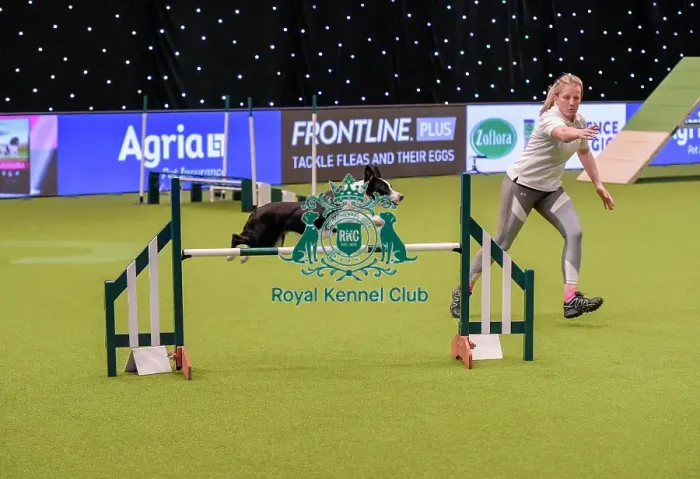 Framed Print : Crufts 2019 - Day One, NEC, UK - 7 Mar 2019 Framed Print : Crufts 2019 - Day One, NEC, UK - 7 Mar 2019