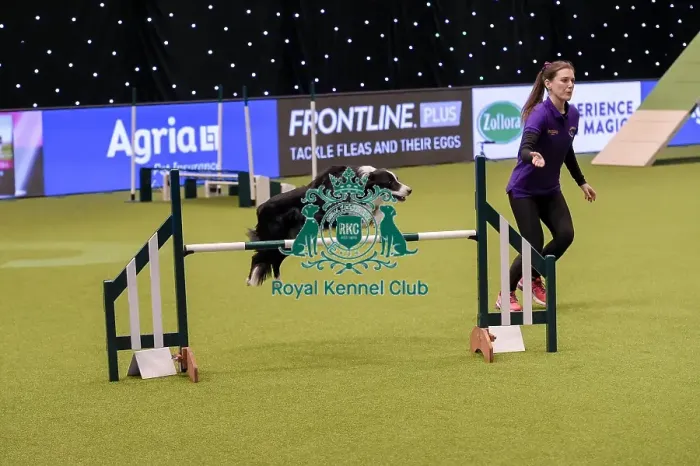 Framed Print : Crufts 2019 - Day One, NEC, UK - 7 Mar 2019 Framed Print : Crufts 2019 - Day One, NEC, UK - 7 Mar 2019