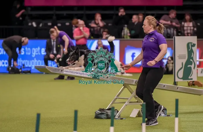 Framed Print : Crufts 2019 - Day One, NEC, UK - 7 Mar 2019 Framed Print : Crufts 2019 - Day One, NEC, UK - 7 Mar 2019