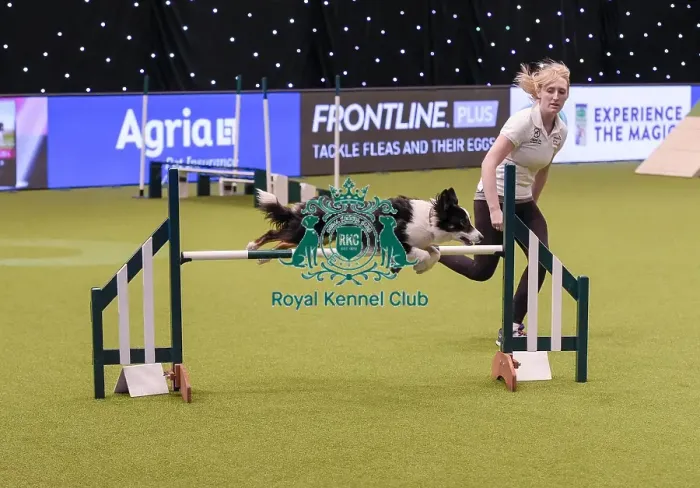 Framed Print : Crufts 2019 - Day One, NEC, UK - 7 Mar 2019