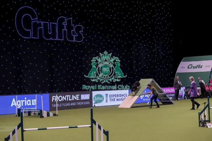 Framed Print : Crufts 2019 - Day One, NEC, UK - 7 Mar 2019 Framed Print : Crufts 2019 - Day One, NEC, UK - 7 Mar 2019