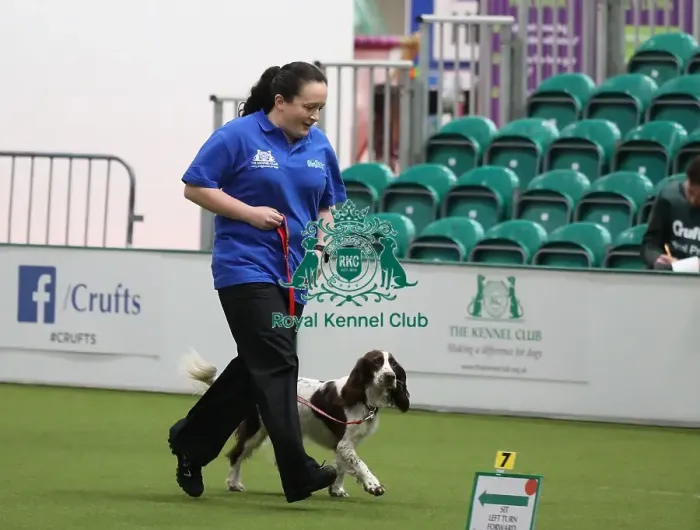 Framed Print : Crufts 2019 - Day One, NEC, UK - 7 Mar 2019 Framed Print : Crufts 2019 - Day One, NEC, UK - 7 Mar 2019