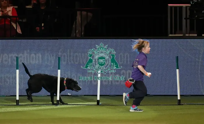 Framed Print : Crufts 2019 - Day One, NEC, UK - 7 Mar 2019 Framed Print : Crufts 2019 - Day One, NEC, UK - 7 Mar 2019