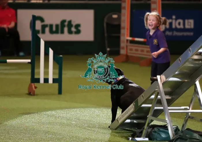 Framed Print : Crufts 2019 - Day One, NEC, UK - 7 Mar 2019 Framed Print : Crufts 2019 - Day One, NEC, UK - 7 Mar 2019