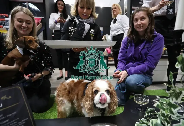 Framed Print : Crufts 2019 - Day One, NEC, UK - 7 Mar 2019 Framed Print : Crufts 2019 - Day One, NEC, UK - 7 Mar 2019