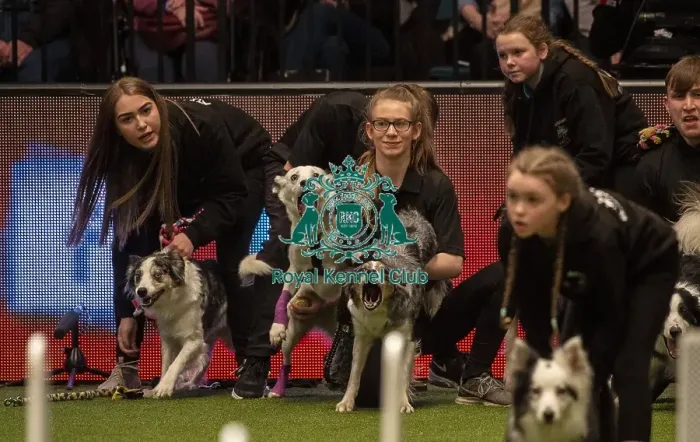 Framed Print : Crufts 2019 - Day Three, NEC, UK - 9 Mar 2019 Framed Print : Crufts 2019 - Day Three, NEC, UK - 9 Mar 2019