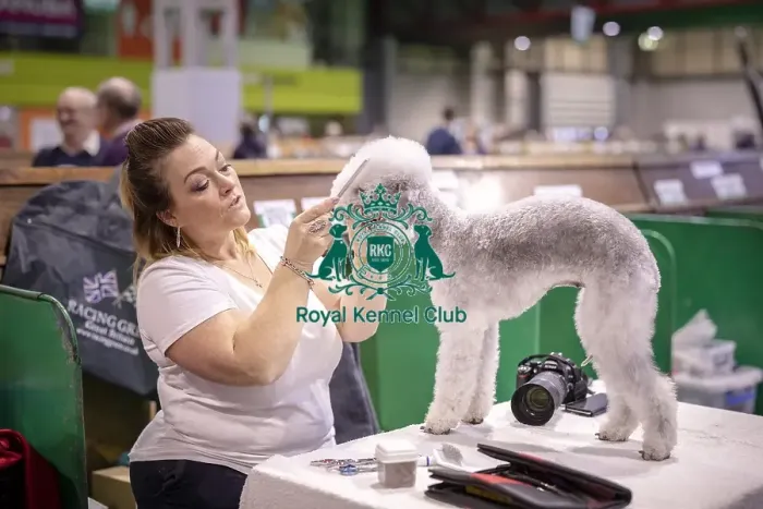 Framed Print : Crufts 2019 - Day Three, NEC, UK - 9 Mar 2019 Framed Print : Crufts 2019 - Day Three, NEC, UK - 9 Mar 2019