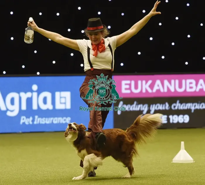 Framed Print : Crufts 2019 - Day Three, NEC, UK - 9 Mar 2019 Framed Print : Crufts 2019 - Day Three, NEC, UK - 9 Mar 2019