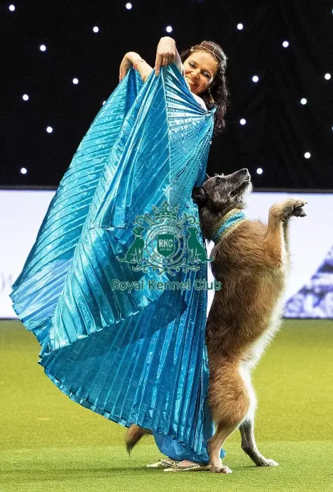 Framed Print : Crufts 2019 - Day Three, NEC, UK - 9 Mar 2019 Framed Print : Crufts 2019 - Day Three, NEC, UK - 9 Mar 2019
