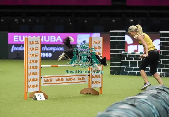 Framed Print : Crufts 2019 - Day Three, NEC, UK - 9 Mar 2019 Framed Print : Crufts 2019 - Day Three, NEC, UK - 9 Mar 2019