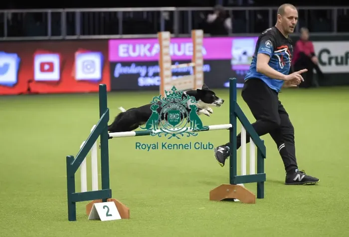 Framed Print : Crufts 2019 - Day Three, NEC, UK - 9 Mar 2019 Framed Print : Crufts 2019 - Day Three, NEC, UK - 9 Mar 2019