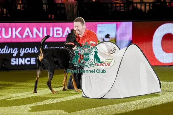 Framed Print : Crufts 2019 - Day Three, NEC, UK - 9 Mar 2019 Framed Print : Crufts 2019 - Day Three, NEC, UK - 9 Mar 2019