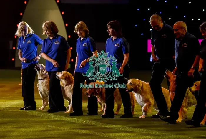 Framed Print : Crufts 2019 - Day Three, NEC, UK - 9 Mar 2019 Framed Print : Crufts 2019 - Day Three, NEC, UK - 9 Mar 2019