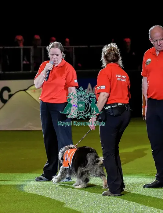 Framed Print : Crufts 2019 - Day Three, NEC, UK - 9 Mar 2019 Framed Print : Crufts 2019 - Day Three, NEC, UK - 9 Mar 2019