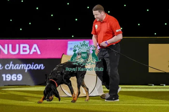 Framed Print : Crufts 2019 - Day Three, NEC, UK - 9 Mar 2019 Framed Print : Crufts 2019 - Day Three, NEC, UK - 9 Mar 2019