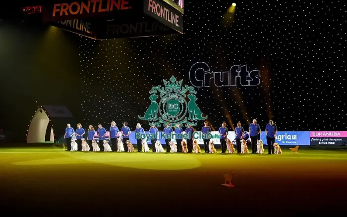 Framed Print : Crufts 2019 - Day Three, NEC, UK - 9 Mar 2019 Framed Print : Crufts 2019 - Day Three, NEC, UK - 9 Mar 2019