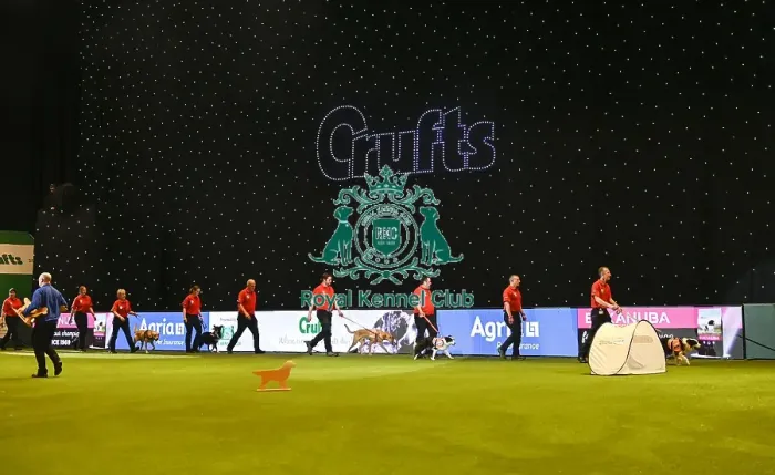 Framed Print : Crufts 2019 - Day Three, NEC, UK - 9 Mar 2019 Framed Print : Crufts 2019 - Day Three, NEC, UK - 9 Mar 2019