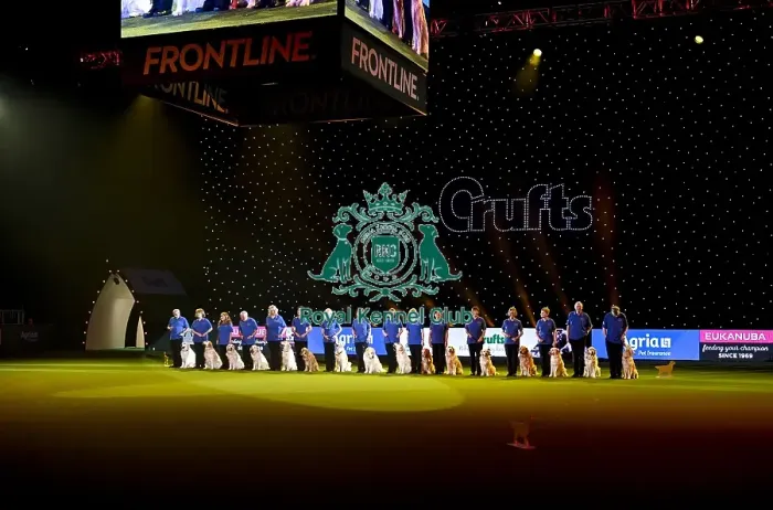 Framed Print : Crufts 2019 - Day Three, NEC, UK - 9 Mar 2019 Framed Print : Crufts 2019 - Day Three, NEC, UK - 9 Mar 2019