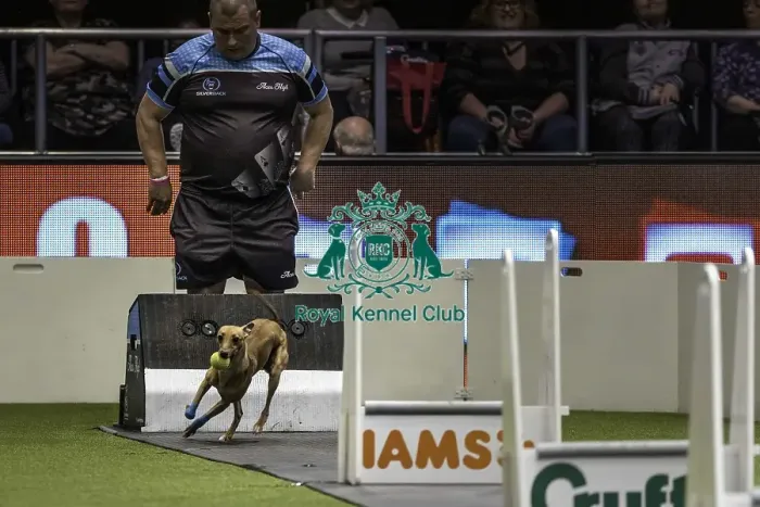 Framed Print : Crufts 2019 - Day Two, NEC, UK - 8 Mar 2019 Framed Print : Crufts 2019 - Day Two, NEC, UK - 8 Mar 2019