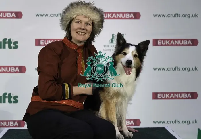 Framed Print : Crufts 2019 - Day Two, NEC, UK - 8 Mar 2019 Framed Print : Crufts 2019 - Day Two, NEC, UK - 8 Mar 2019