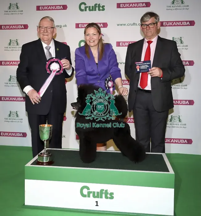 Framed Print : Crufts 2019 - Day Two, NEC, UK - 8 Mar 2019 Framed Print : Crufts 2019 - Day Two, NEC, UK - 8 Mar 2019