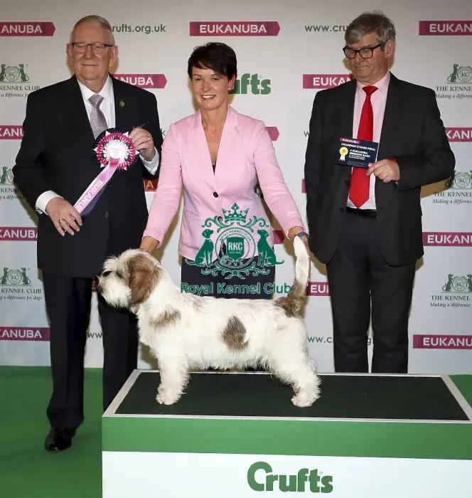 Framed Print : Crufts 2019 - Day Two, NEC, UK - 8 Mar 2019 Framed Print : Crufts 2019 - Day Two, NEC, UK - 8 Mar 2019
