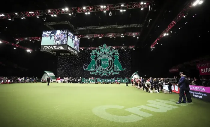 Framed Print : Crufts 2019 - Day Two, NEC, UK - 8 Mar 2019 Framed Print : Crufts 2019 - Day Two, NEC, UK - 8 Mar 2019