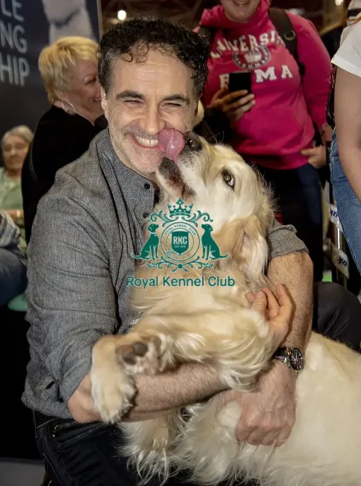 Framed Print : Crufts 2019 - Day Two, NEC, UK - 8 Mar 2019 Framed Print : Crufts 2019 - Day Two, NEC, UK - 8 Mar 2019