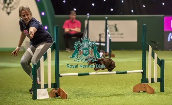 Framed Print : Crufts 2019 - Day Two, NEC, UK - 8 Mar 2019 Framed Print : Crufts 2019 - Day Two, NEC, UK - 8 Mar 2019