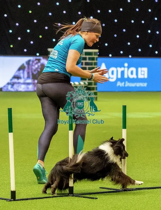 Framed Print : Crufts 2019 - Day Two, NEC, UK - 8 Mar 2019 Framed Print : Crufts 2019 - Day Two, NEC, UK - 8 Mar 2019
