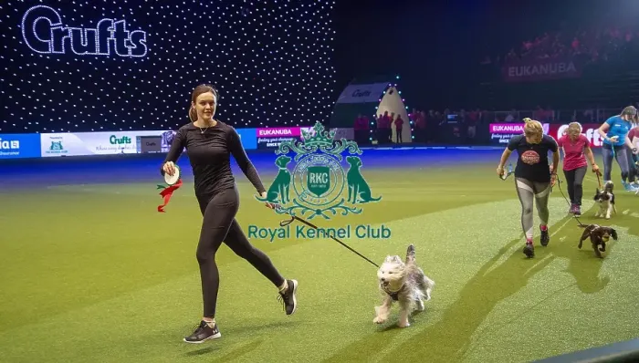 Framed Print : Crufts 2019 - Day Two, NEC, UK - 8 Mar 2019